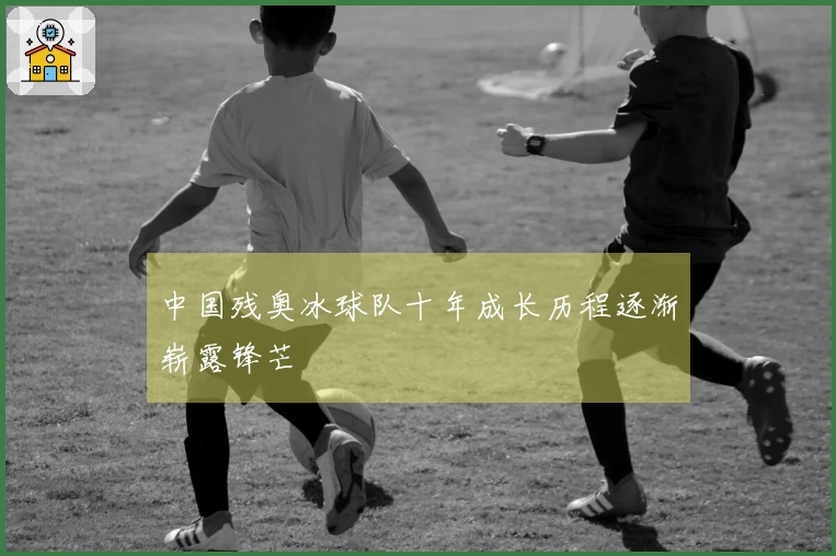 中国残奥冰球队十年成长历程逐渐崭露锋芒