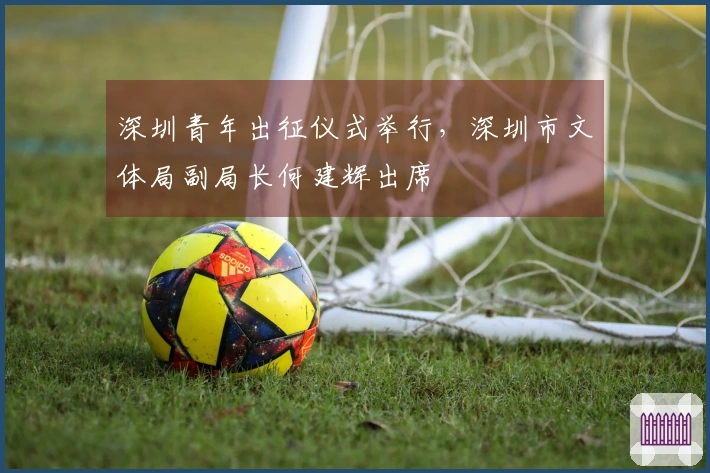 深圳青年出征仪式举行，深圳市文体局副局长何建辉出席